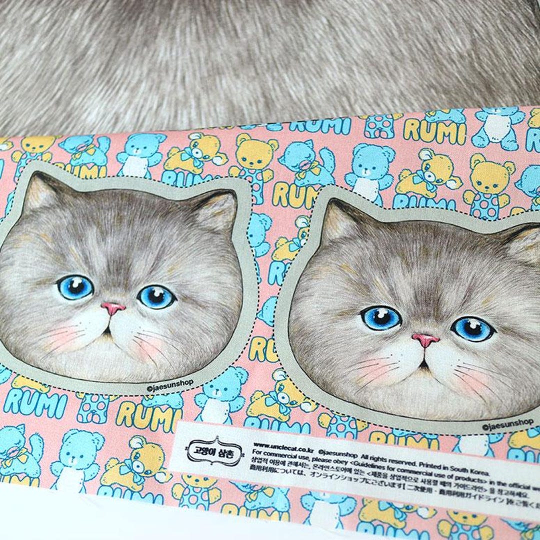 A Face of Cat 