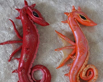 Magical sea horse magnet