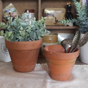 May include: Two terracotta flower pots with a matte finish. The larger pot contains a faux eucalyptus plant with sage green leaves. The smaller pot holds two silver-toned metal spoons with a decorative shell-shaped design on the handle ends.
