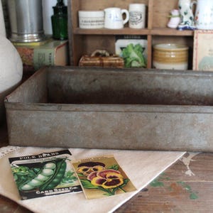 Może przedstawiać: Prostokątna, ocynkowana metalowa skrzynka do sadzenia o zwietrzałym wyglądzie. Dwie stare paczki nasion, jedna dla "Fasoli tycznej" i druga z bratkami, spoczywają na białej tkaninie. Tło obejmuje drewnianą półkę z różnymi antycznymi przedmiotami.