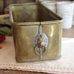 Könnte beinhalten: Ein rechteckiger Pflanzkübel aus Messing mit Löwenkopf und Ringdetail. Der Pflanzkübel hat eine Patina. Rote Beeren und grüne Blätter sind im Vordergrund. Weitere Vintage-Artikel sind im Hintergrund.