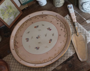 Rare Limoges Pink Vintage Cake Plate & Slice, Vintage Cake Plate, Vintage Cake Slice, Serving Plate, Cake Stand, Vintage limoge porcelain