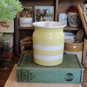 Pot de cuisine en cornishware vintage TG vert, cornishware bleu et blanc, cornishware vintage, bidon de cuisine vintage, pot vert TG