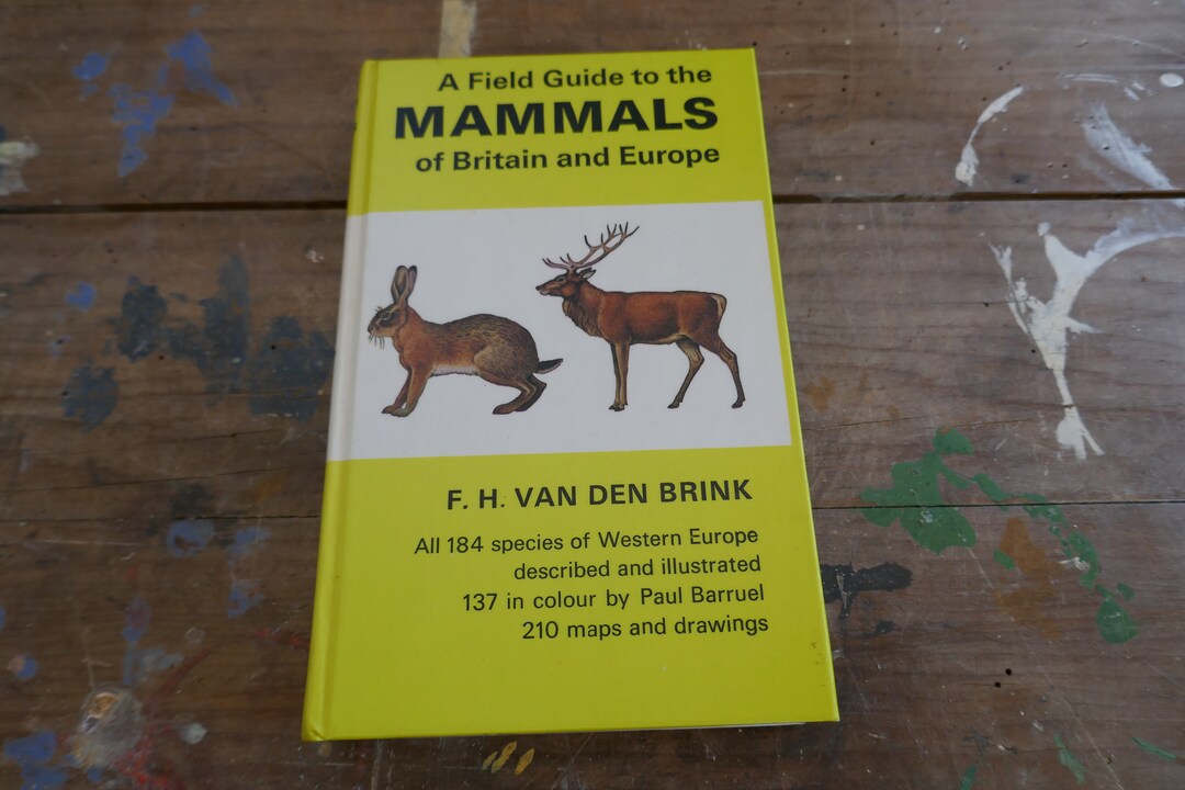 Vintage Nature Book Animal Book Vintage Animal Book Etsy