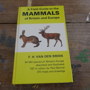 Vintage Nature Book - Animal Book - Vintage Animal book - Coffee table books - Nature Guides - English nature books - Bird Spotting Guide