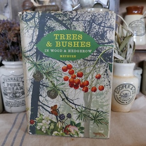 Vintage Nature Book - Trees Nature Book - Vintage tree Book -  Coffee table book -  Plant Book - Decorative Book - flower book