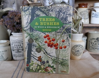Vintage 'Trees and Bushes' Nature Book: 1960s British Hedgerows