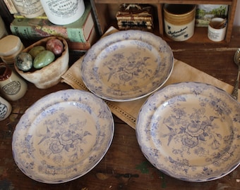 Antique English Ironstone Dinner Plate: Asiatic Pheasant, Blue & White