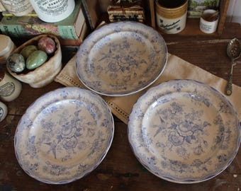 Antique English Ironstone Dinner Plate: Asiatic Pheasant, Blue & White
