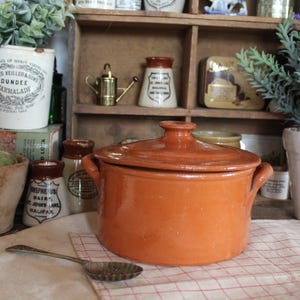 May include: An orange ceramic pot with a lid and handles, alongside a vintage spoon. The pot is the focal point, set against a backdrop of antique jars, a white pot with greenery, and a wooden shelf.