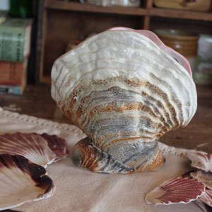 Vintage Shell Sylvac Pottery Mantle Vase: Shell decor