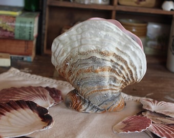 Vintage Shell Sylvac Pottery Mantle Vase: Shell decor