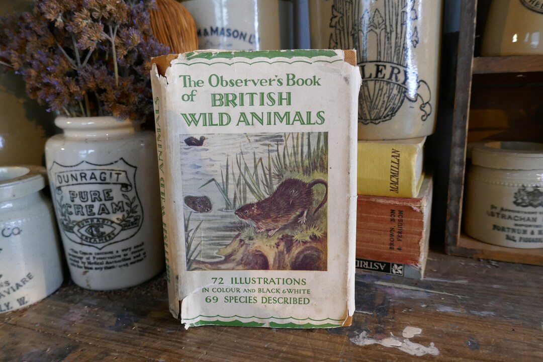 Vintage Nature Book British Wild Animals Book Vintage Etsy