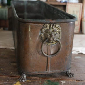 Könnte beinhalten: Ein rechteckiger Kupfer-Pflanzkübel mit einem Löwenkopf-Ringgriff und Klauenfüßen. Das gealterte Metall hat eine Patina, und der Pflanzkübel ist wahrscheinlich Vintage. Der Pflanzkübel steht auf einer Holzoberfläche.
