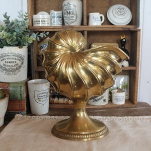 May include: A polished brass nautilus shell sculpture mounted on a circular pedestal base. The shell features a spiraled, ribbed design with a metallic gold finish, reflecting light across its curved surface. The base has a decorative beaded edge.