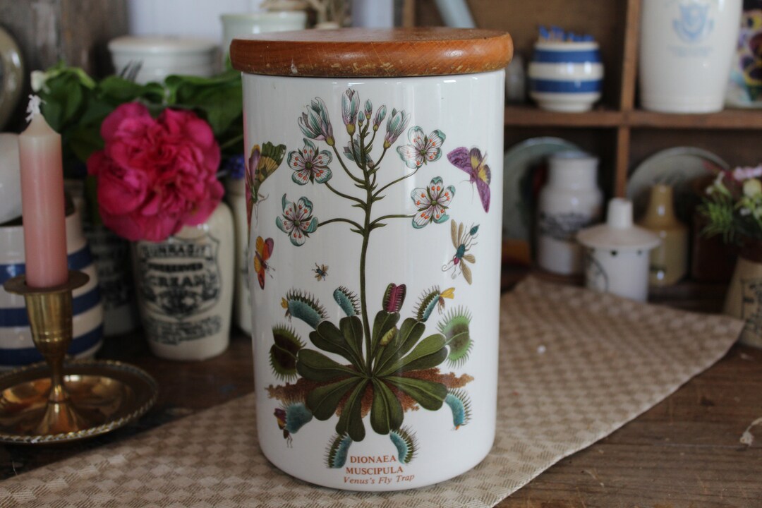Large Vintage Portmeirion Kitchen Canister, Vintage Botanical Pattern ...