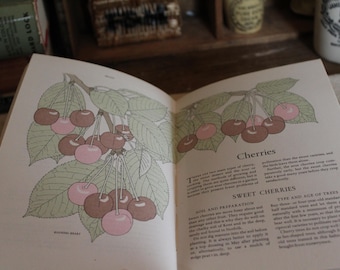 Vintage Readers Digest Gardening Book: 1963 First Edition Coffee Table Decor