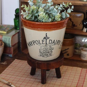 May include: A cream-colored ceramic pot with a brown rim and the text "MAYPOLE DAIRY CO" in black, holding green leafy plants. The pot sits on a small, three-legged wooden stool. A vintage fork rests on a red and white checkered cloth.