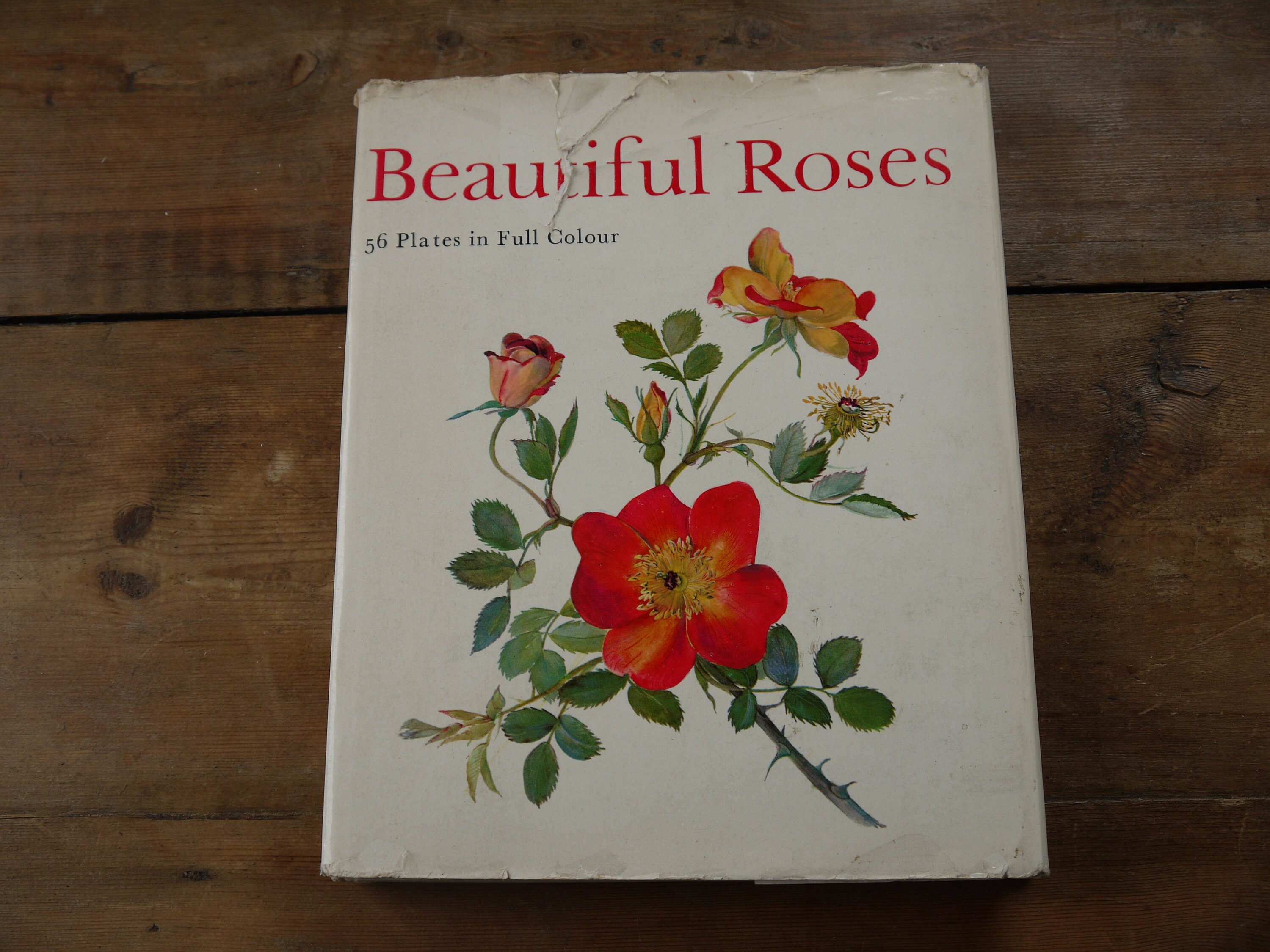 Vintage Flower Book Flower Book Nature Book Vintage Etsy