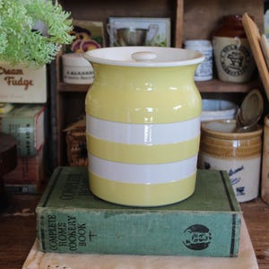 Vintage TG Green Cornishware Kitchen Canister Pot, Blue and White Cornishware, Vintage Cornishware, Vintage Kitchen Canister, T G Green Pot