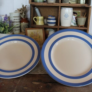 Vintage TG Green Cornishware Plates, Blue and White Cornishware, Vintage Cornishware, Vintage Plates, T G Green, Side Plates, Plates,