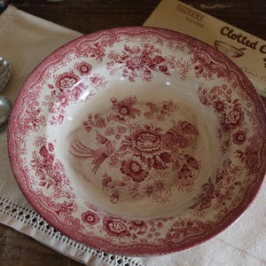 Può includere: Una ciotola vintage color crema con un motivo floreale rosso e un bordo smerlato. La ciotola presenta un motivo centrale a uccello ed è circondata da un design floreale dettagliato. Sono visibili anche due cucchiai d'argento antichi e una scatola di fudge.