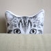 see more listings in the Decorative pillow plush section