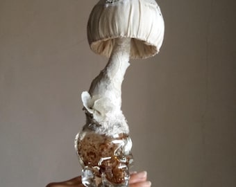 halloween decor textile mushroom on glass skull base with embroidered lace steampunk fantasy art toadstool creepy white whimsical gothic
