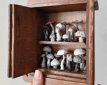 Può includere: Un piccolo armadietto in legno marrone con due ante aperte e un ripiano interno. L'armadietto contiene una collezione di figurine di funghi in miniatura di varie forme, dimensioni e colori, tra cui varietà bianche, marroni e con cappello rosso.