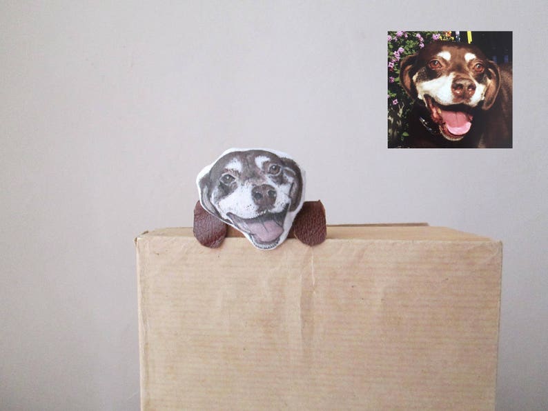 May include: A whimsical dog-themed decorative item. The item features a smiling dog face with a brown and white color scheme, attached to a brown cardboard box. A framed photo of a dog is in the background.