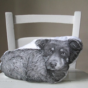 Urna personalizada para cães, memoriais personalizados para animais de estimação, capa pintada à mão para cremação, urna funerária para cães enlutados