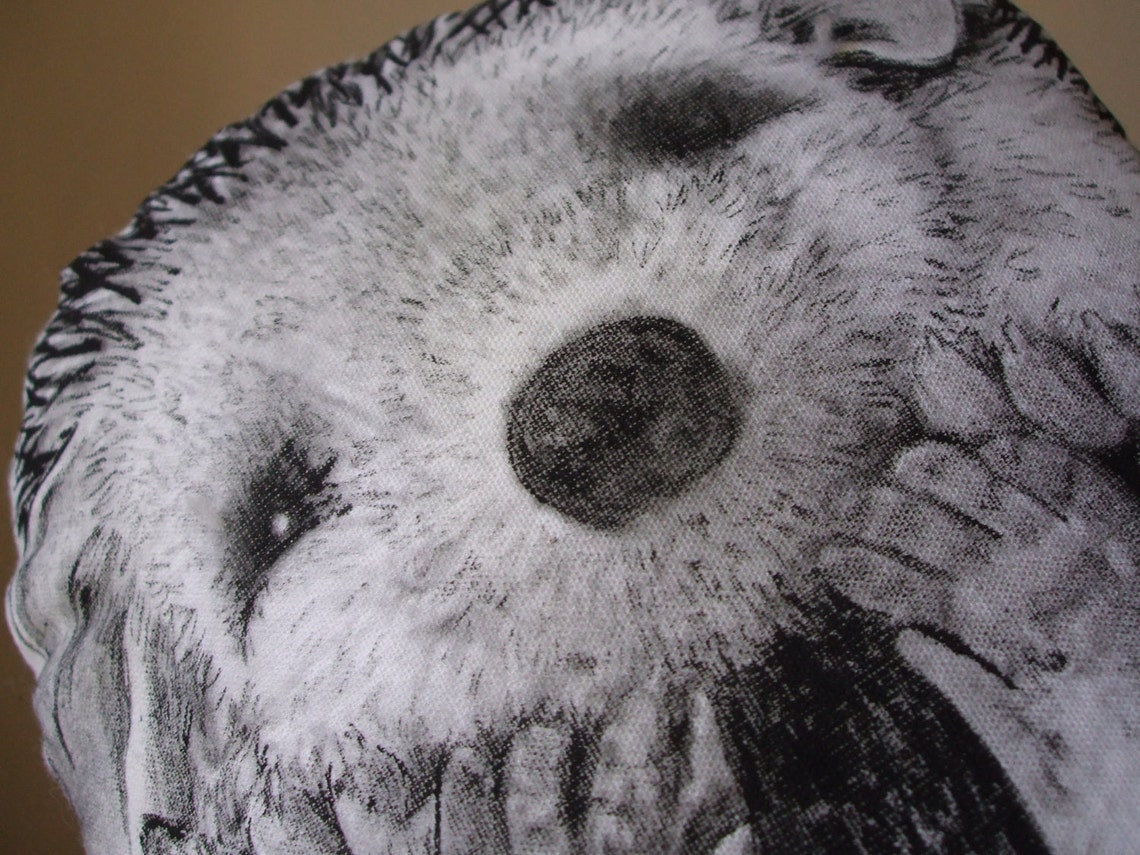 Throw Pillow Hedgehog Decorative Pillow Handpainted Cushion Etsy