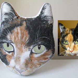 pillow portrait pet cat
