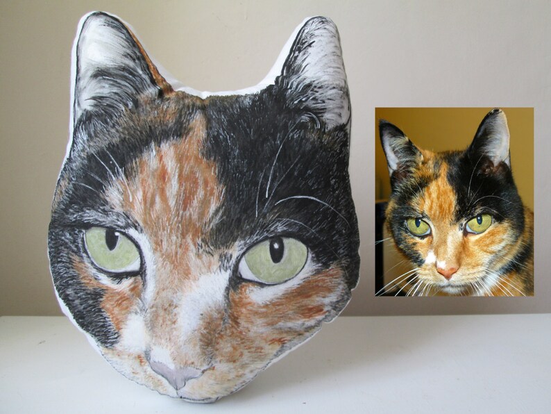 pillow portrait pet cat