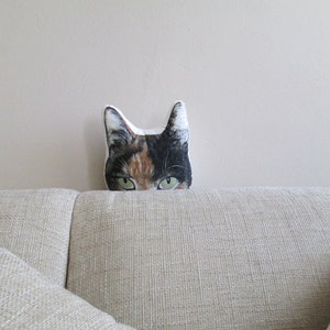 decorative pillow head cat