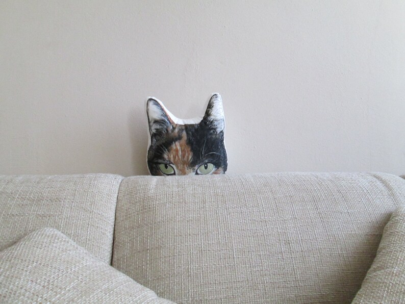 decorative pillow head cat