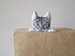 cat bookmark gift for cat lover original art hand painted peekaboo kitten fabric felt geek quirky fun reading accessory humorous bookmarks 