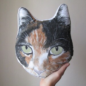 cat head pillow handpianted from your picture