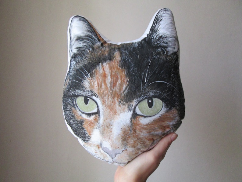 cat head pillow handpianted from your picture