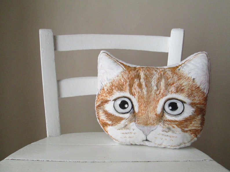 cat pillow