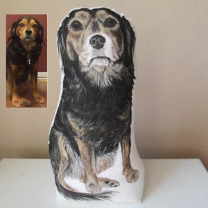 custom pet urn soft pillow in memory of cat dog unique hand painted cover for cremation funerary urn