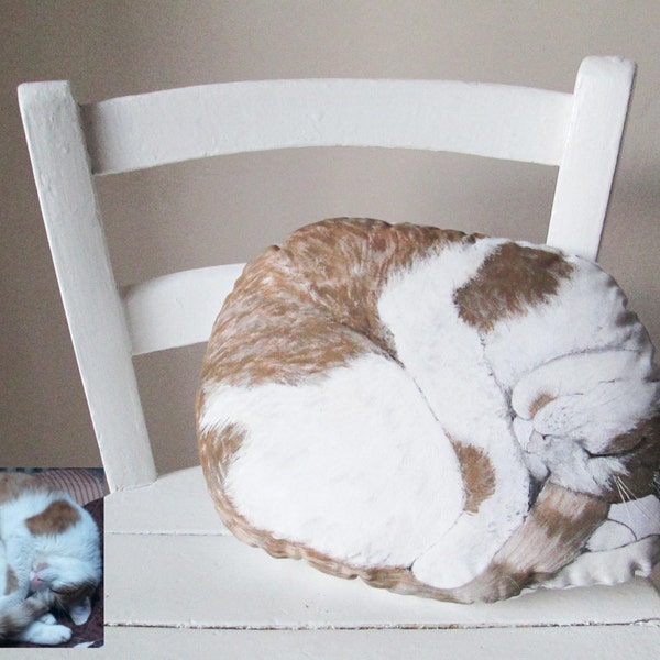cuscino decorativo a forma del vostro gatto