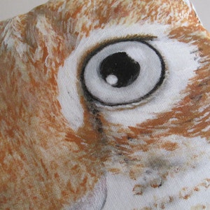 May include: Close-up of a brown and white animal's eye. The eye is large and round with a black pupil and a white iris. The fur around the eye is brown and white.