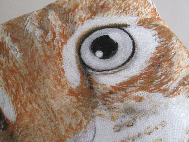 May include: Close-up of a brown and white animal's eye. The eye is large and round with a black pupil and a white iris. The fur around the eye is brown and white.