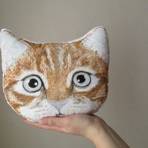 head cat pillow