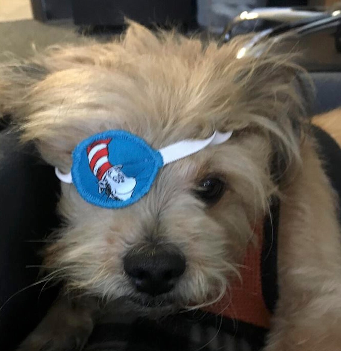 Augenklappe für Hunde oder Katzen 100 Baumwolle/ Kein Filz Etsy