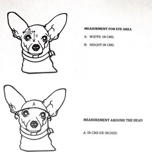 Puede incluir: Diagrama que muestra cómo medir la cabeza de un perro para un pañuelo para perro. El diagrama muestra dos ilustraciones en blanco y negro de la cabeza de un perro. La primera ilustración muestra cómo medir el área de los ojos, etiquetada como "A: ANCHO EN CMS" y "B: ALTURA EN CMS". La segunda ilustración muestra cómo medir alrededor de la cabeza, etiquetada como "A: EN CMS O PULGADAS".