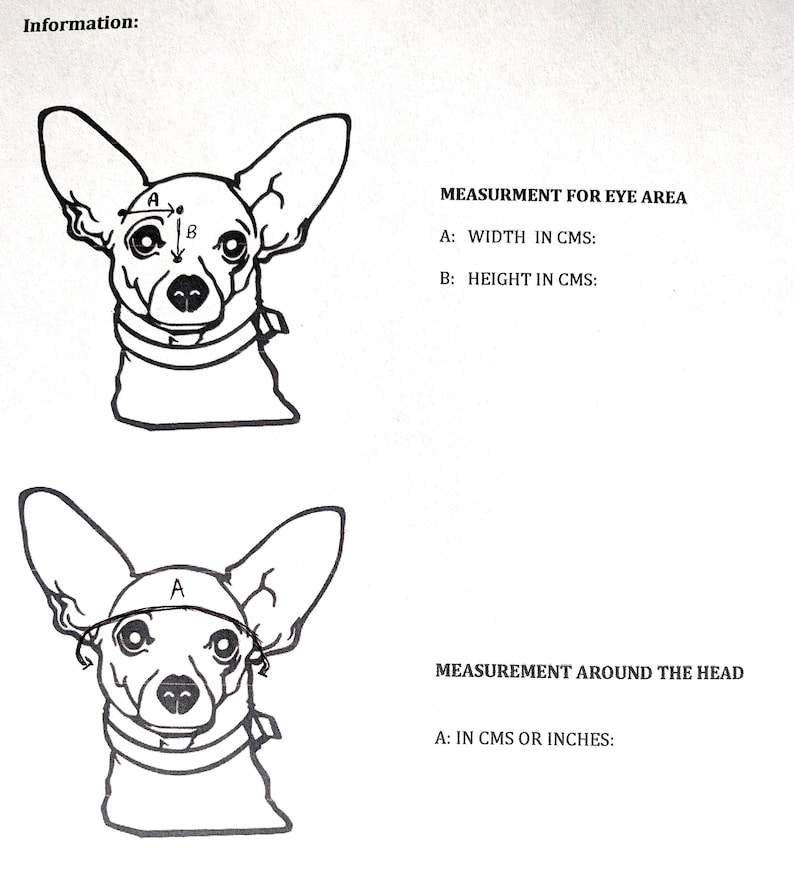 Augenklappe für Hunde oder Katzen 100 Baumwolle/ Kein Filz Etsy