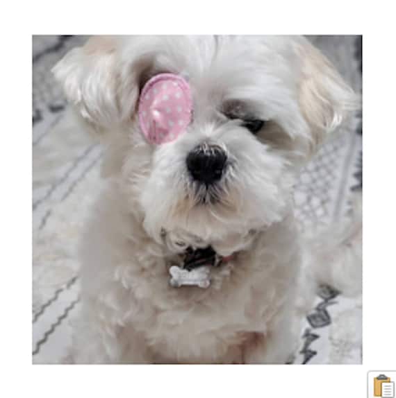 Dog Eye Patch 100 Cotton No Felt Etsy Canada