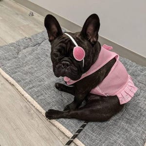 Parches para ojos de perro con lunares rosas y elástico blanco